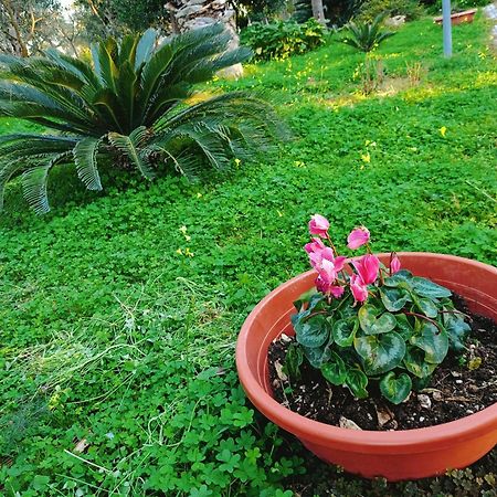 מודוניו B&B Verdeoliva מראה חיצוני תמונה