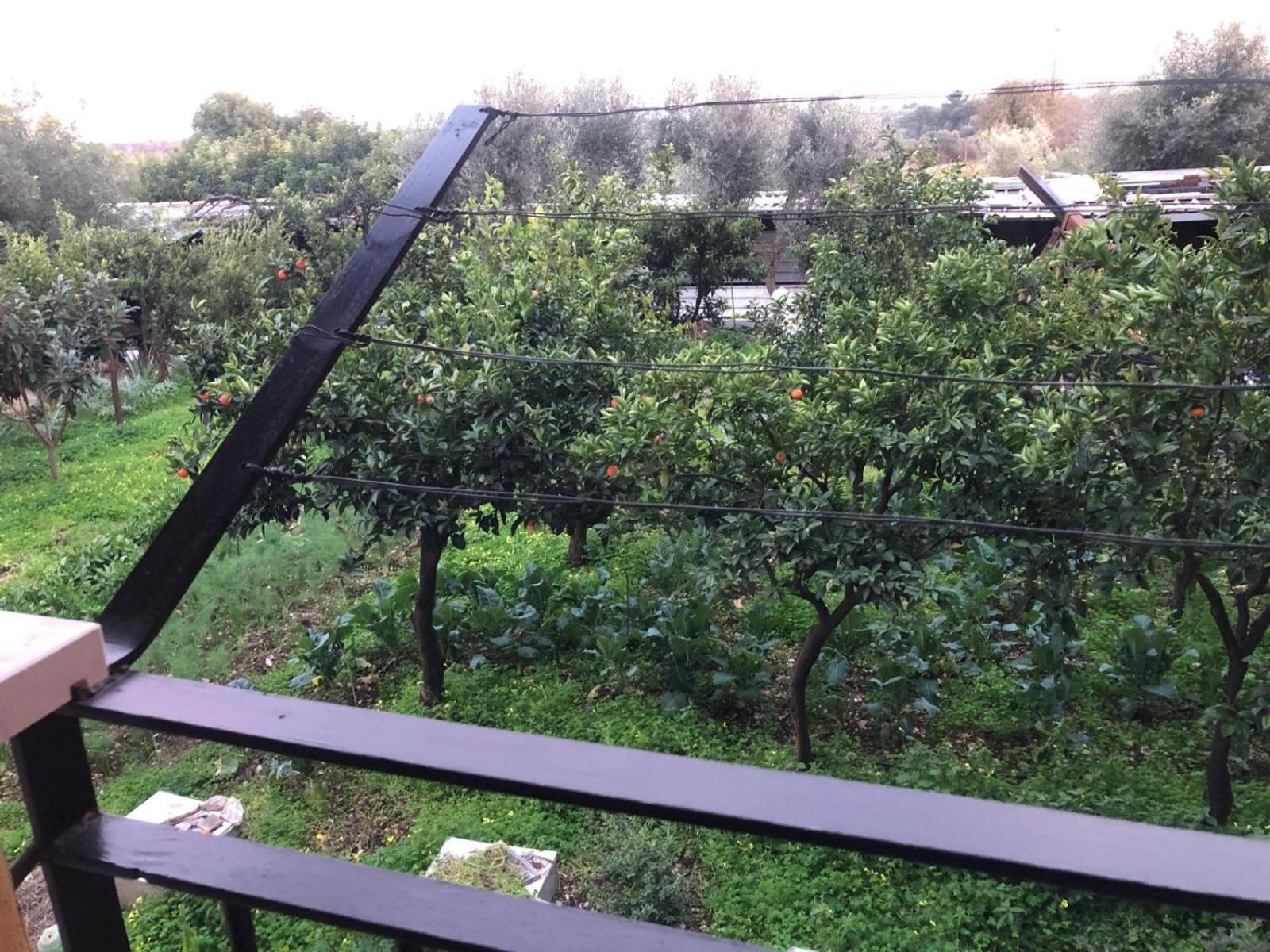 מודוניו B&B Verdeoliva מראה חיצוני תמונה