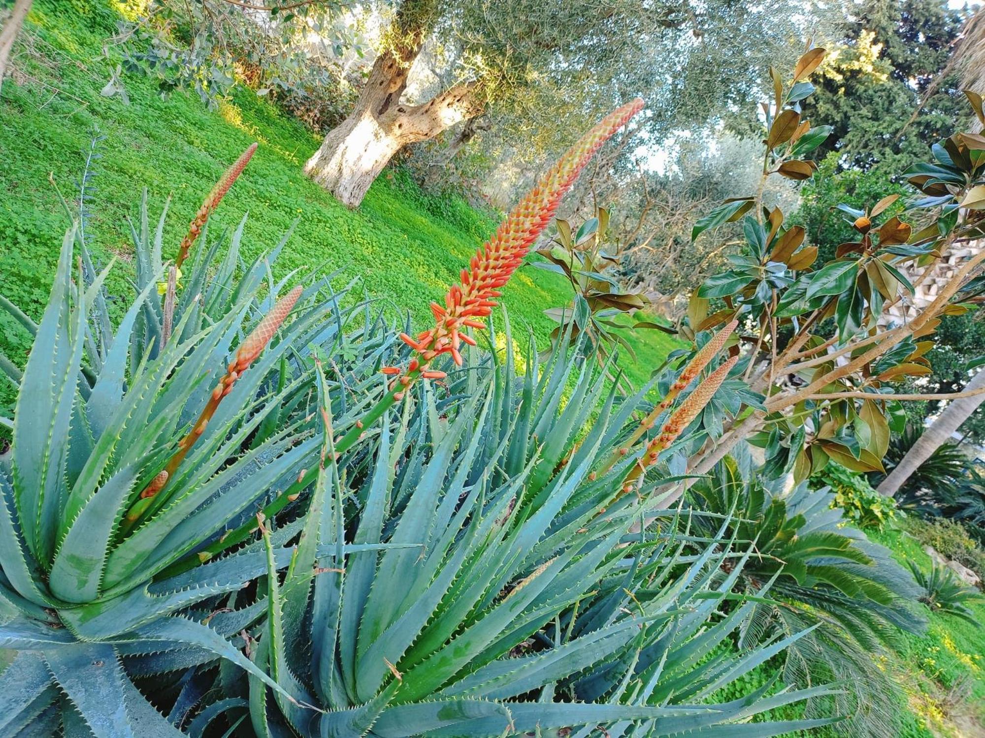 מודוניו B&B Verdeoliva מראה חיצוני תמונה